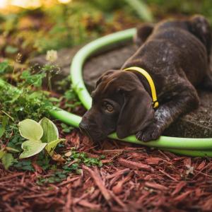 Pexels brixiv 8146410