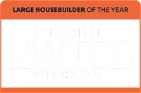 Large housebuilder of the year winner 2025